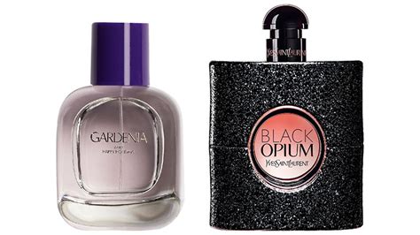gardenia perfume zara dupe